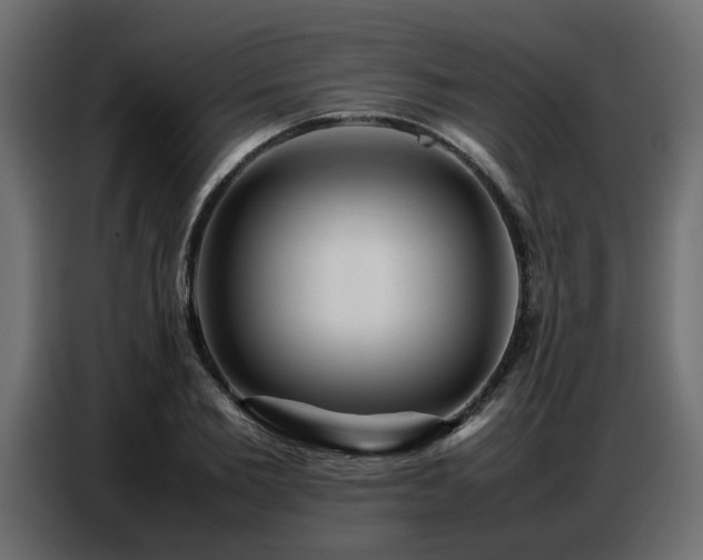 X0000087750885200705071111