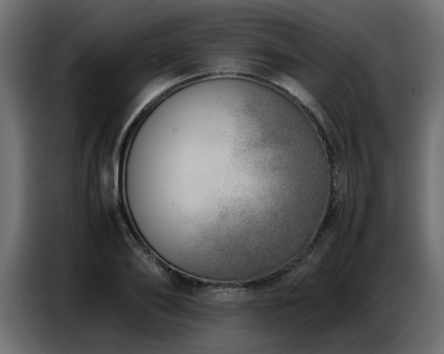 X0000087750886200705071111