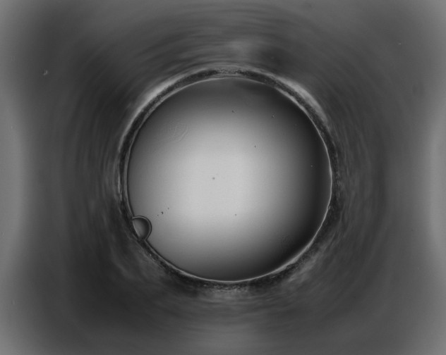 X0000087750887200705071111