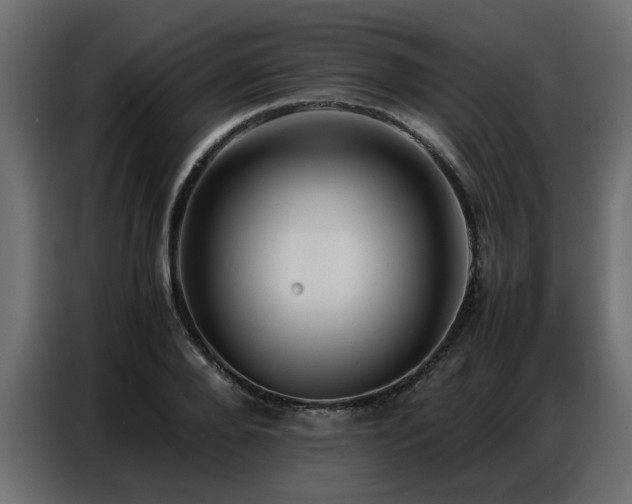 X0000087750888200705071111