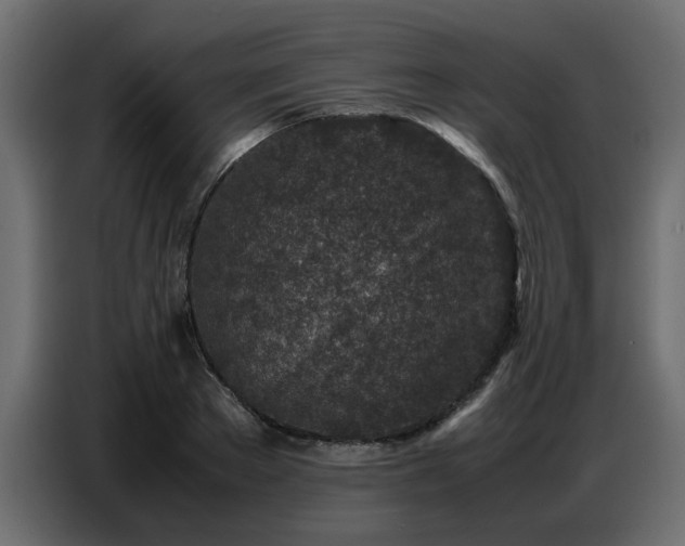 X0000087750889200705071111