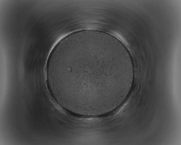 X0000087750891200705071111