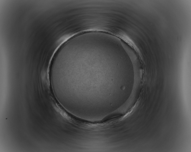 X0000087750892200705071111