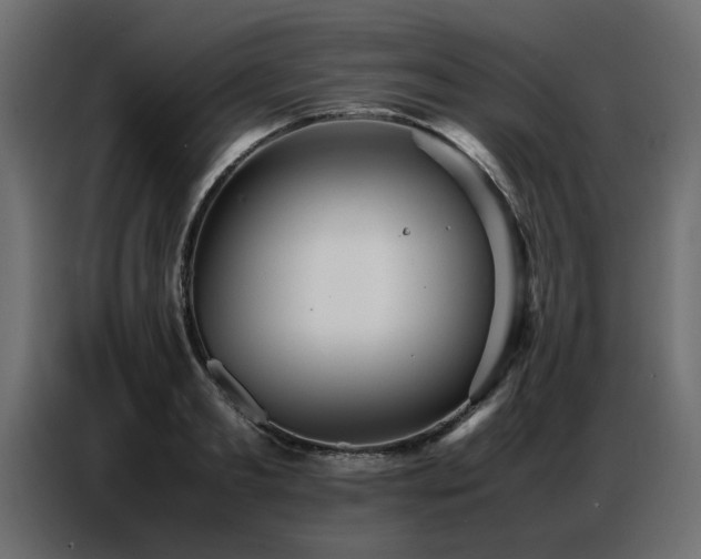 X0000087750893200705071111