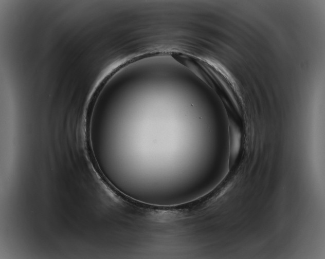 X0000087750894200705071111