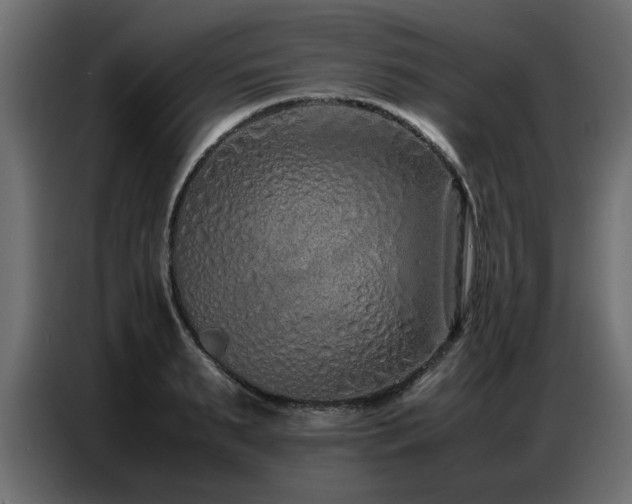 X0000087750895200705071111