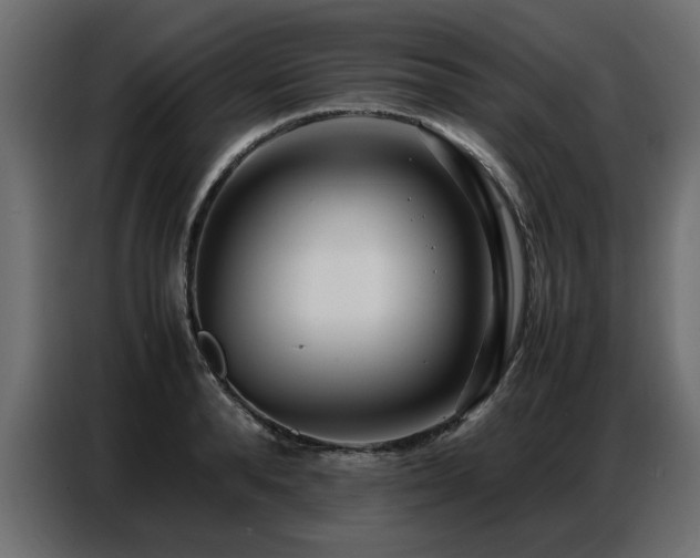 X0000087750896200705071111