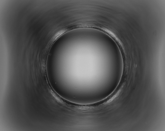 X0000087750897200705071111
