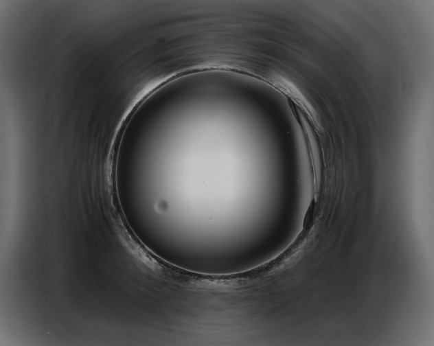 X0000087750900200705071111