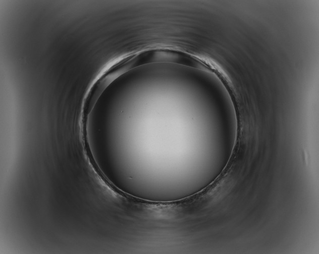 X0000087750902200705071111