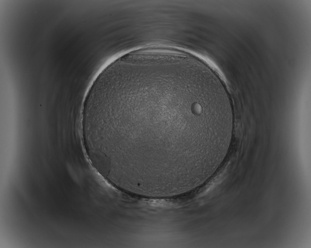 X0000087750903200705071111
