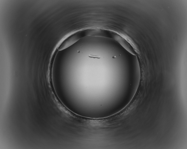 X0000087750904200705071111