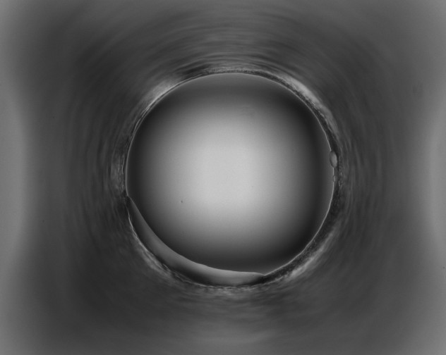X0000087750905200705071110