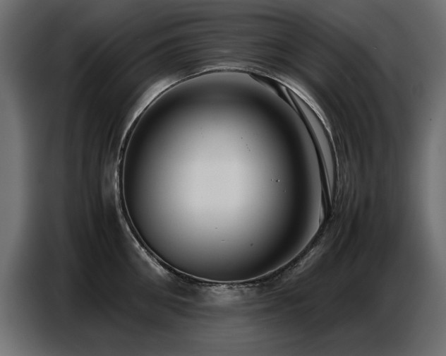 X0000087750906200705071110