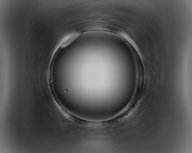 X0000087750909200705071110