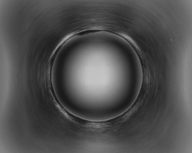 X0000087750910200705071110