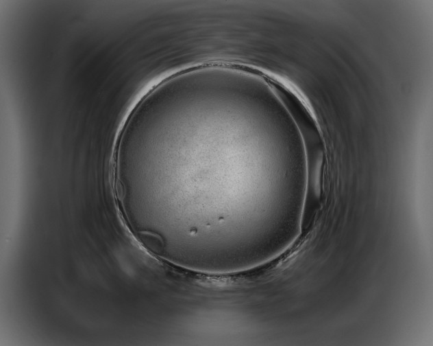 X0000087750911200705071110
