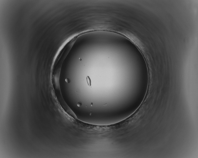 X0000087750912200705071110