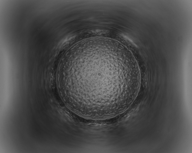 X0000087750917200705071110