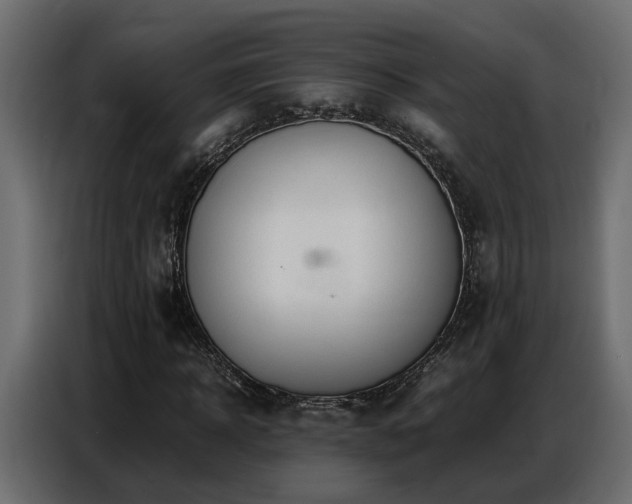X0000087750918200705071110