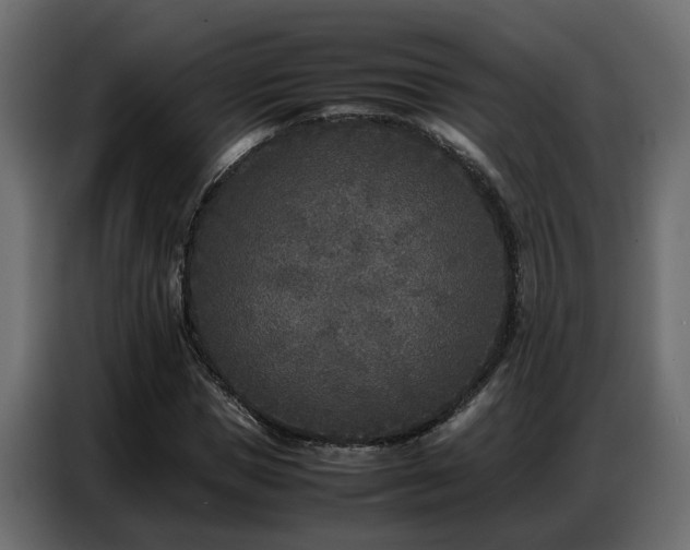X0000087750921200705071110