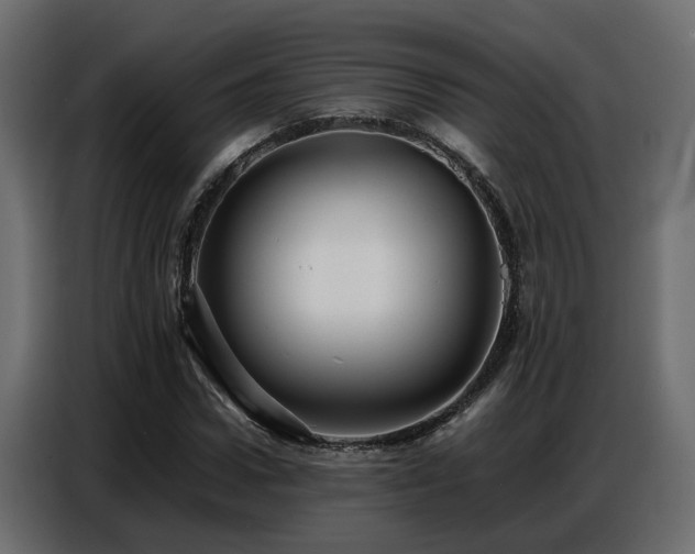 X0000087750922200705071110