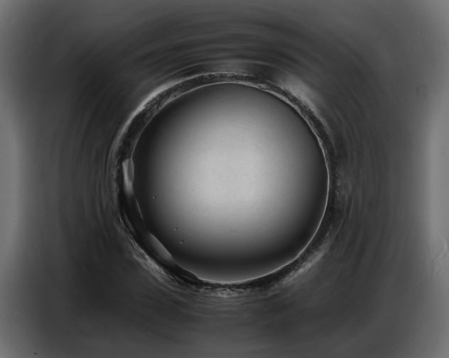 X0000087750923200705071110