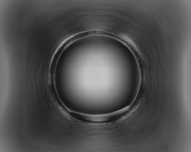 X0000087750924200705071110