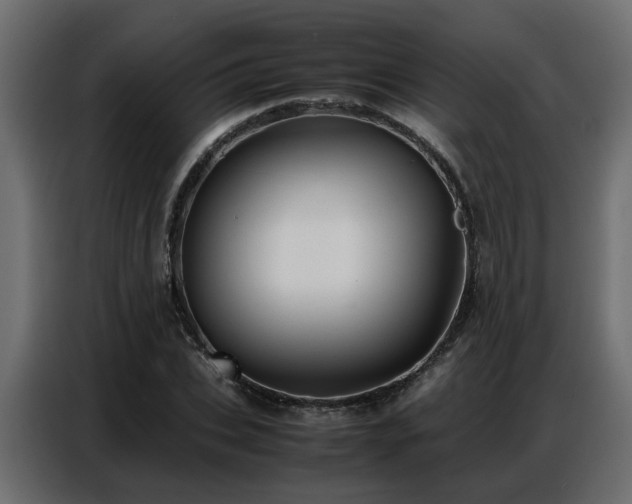 X0000087750927200705071110