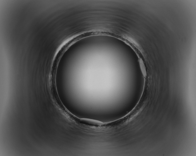 X0000087750928200705071110