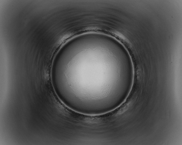X0000087750929200705071110