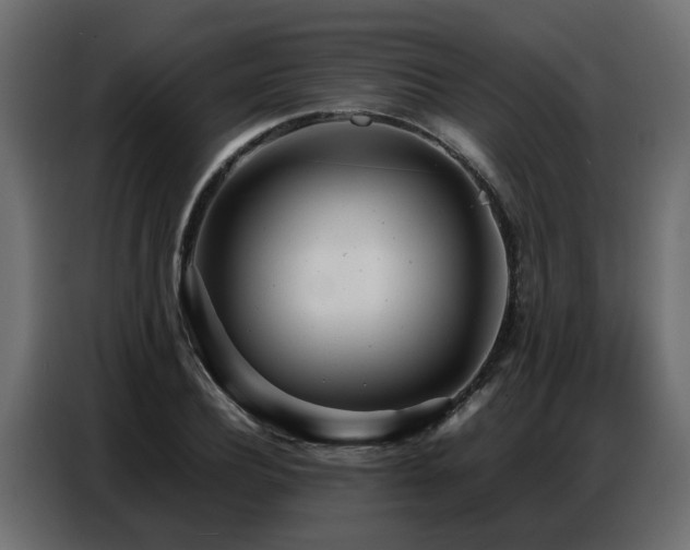 X0000087750932200705071110