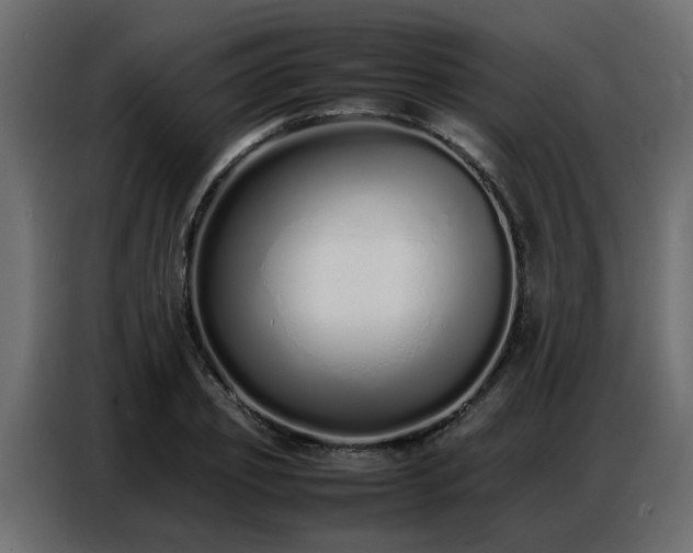 X0000087750933200705071110