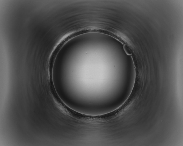X0000087750934200705071110