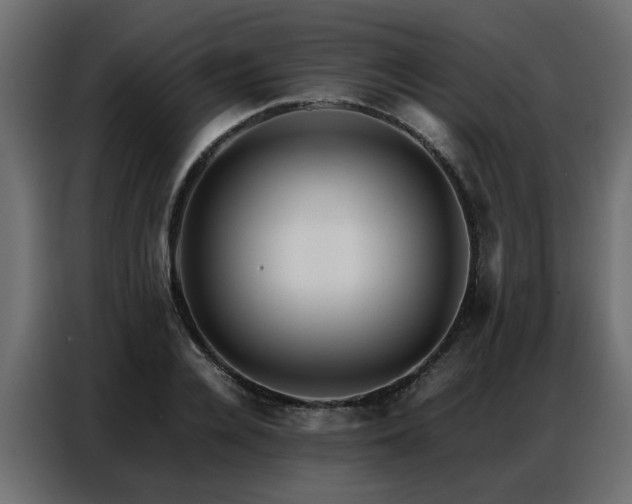 X0000087750936200705071110