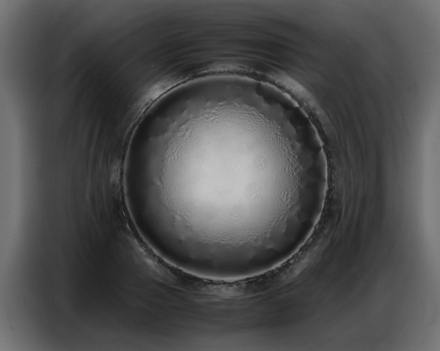 X0000087750937200705071110