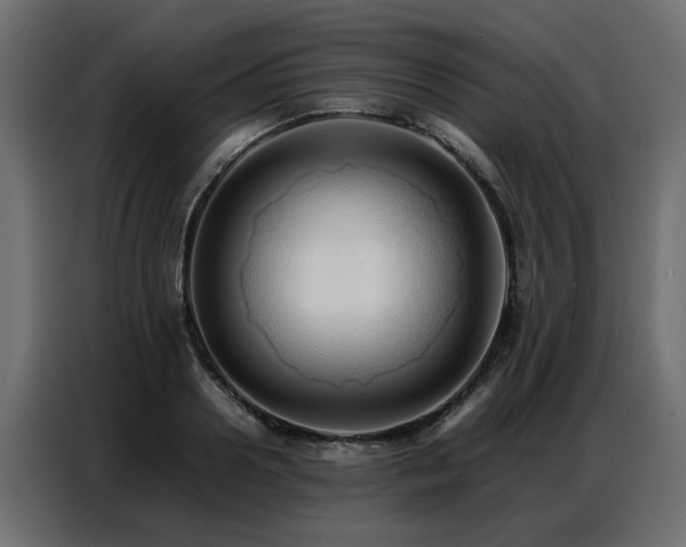 X0000087750938200705071110