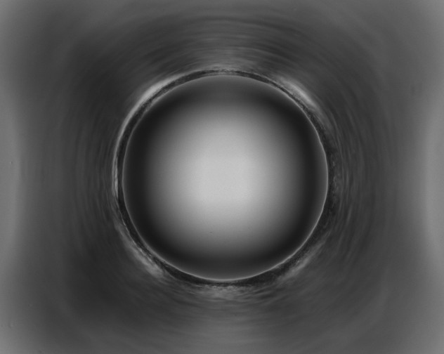 X0000087750940200705071110