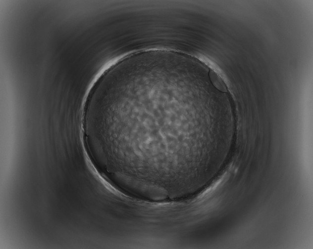 X0000087750941200705071110