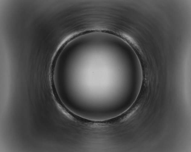X0000087750942200705071110
