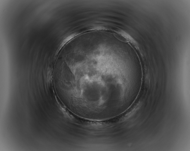 X0000087750945200705071110