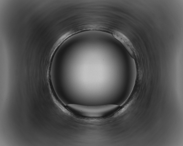 X0000087750946200705071110