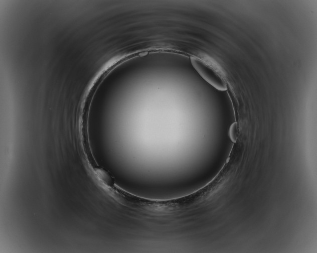 X0000087750947200705071110