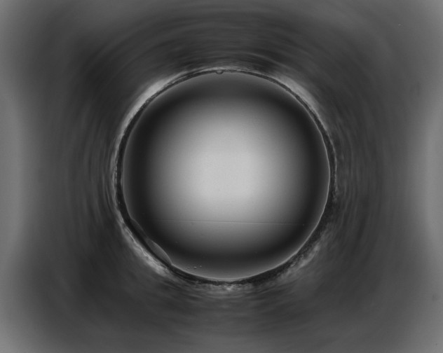 X0000087750949200705071110