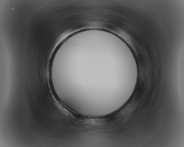 X0000087750950200705071110