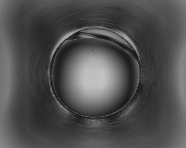 X0000087750951200705071110