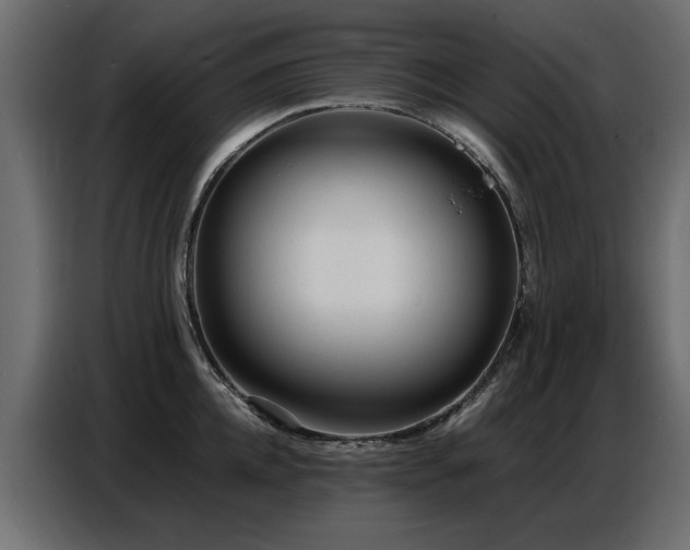 X0000087750952200705071110