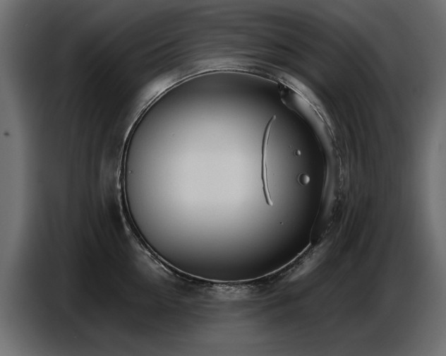 X0000087750954200705071110