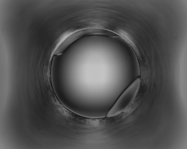X0000087750956200705071110