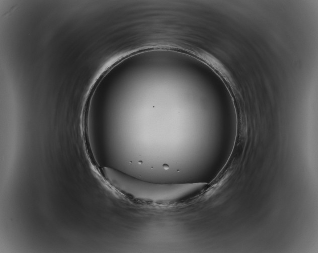 X0000087750958200705071110